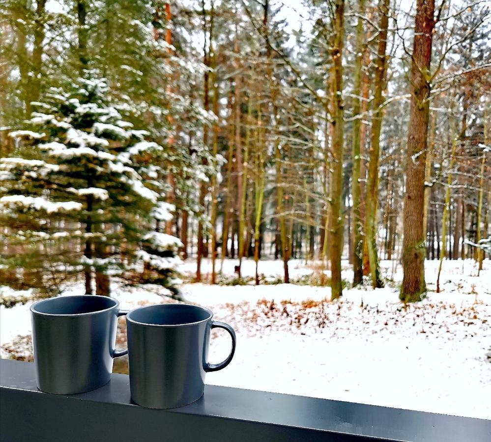 Apartament Z Widokiem Na Park ポラニツァ・ズドゥルイ エクステリア 写真