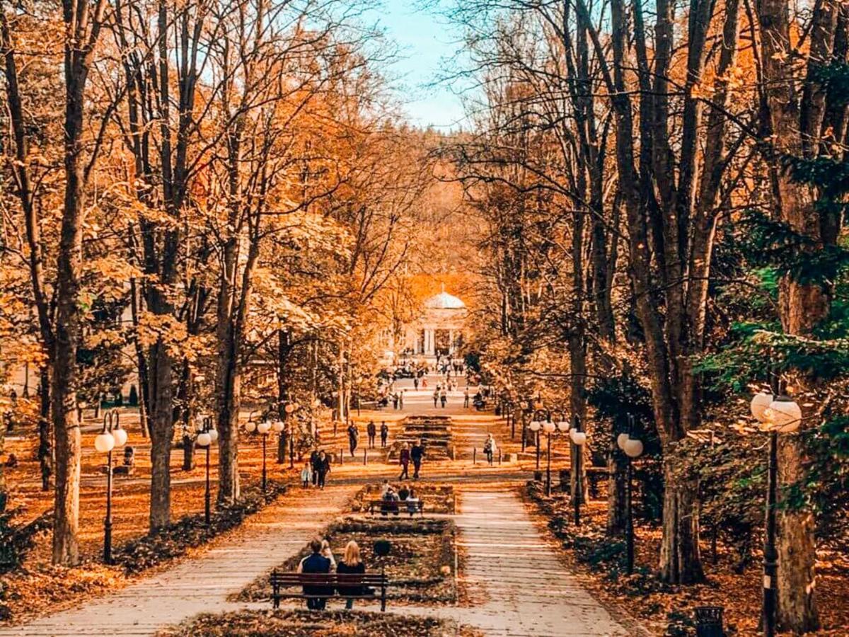 Apartament Z Widokiem Na Park ポラニツァ・ズドゥルイ エクステリア 写真